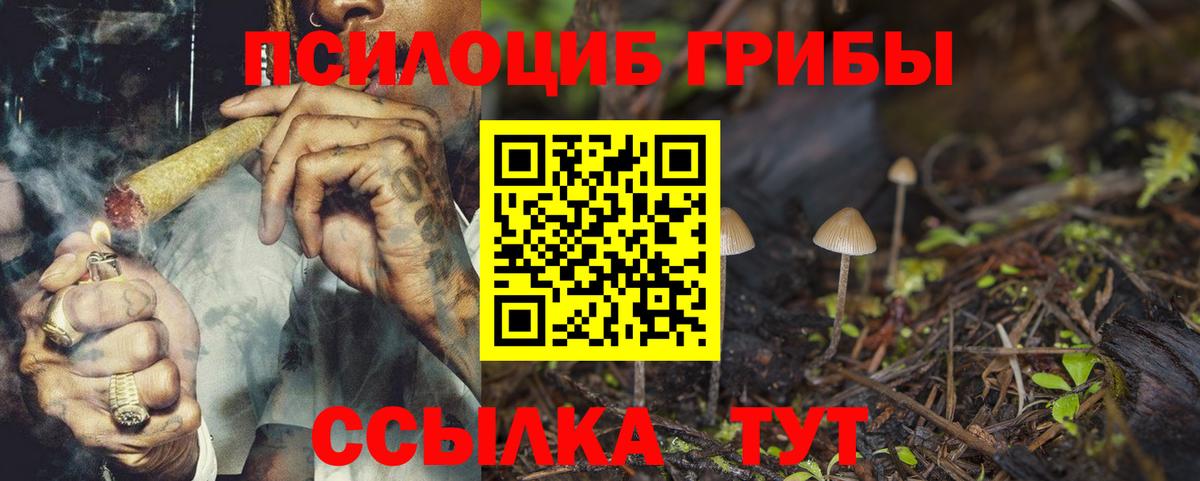 Псилоцибиновые грибы Psilocybine cubensis Чусовой